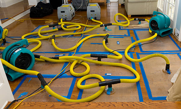 Professional Sewage Cleanup technician working in Lexington, TX